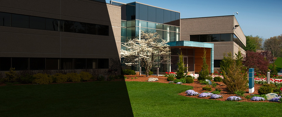 Chestnut Hill Landscapers