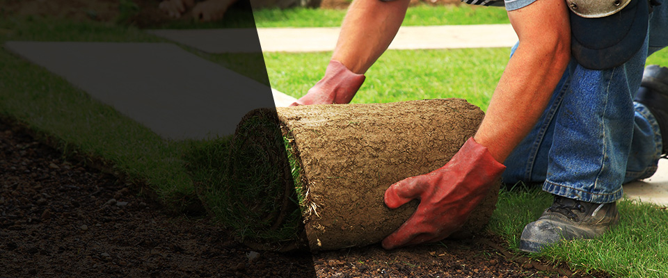 Chestnut Hill Landscapers